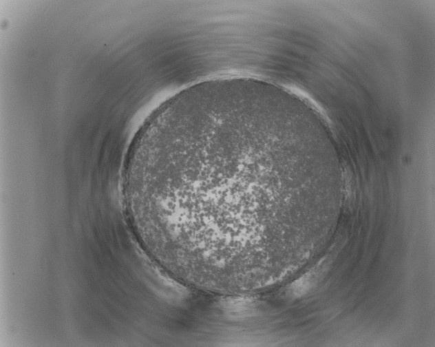 X0000078241278200611251230