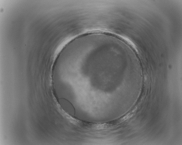 X0000078241279200611251230