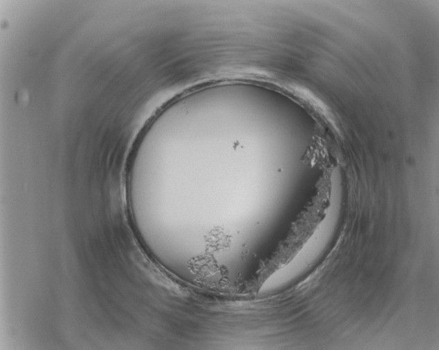 X0000078241280200611251230