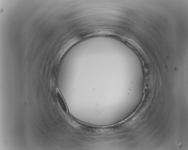 X0000078241281200611251230