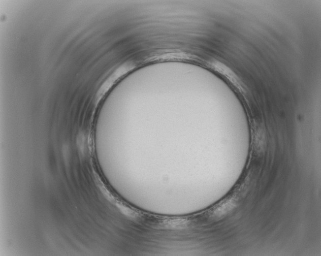 X0000078241282200611251230