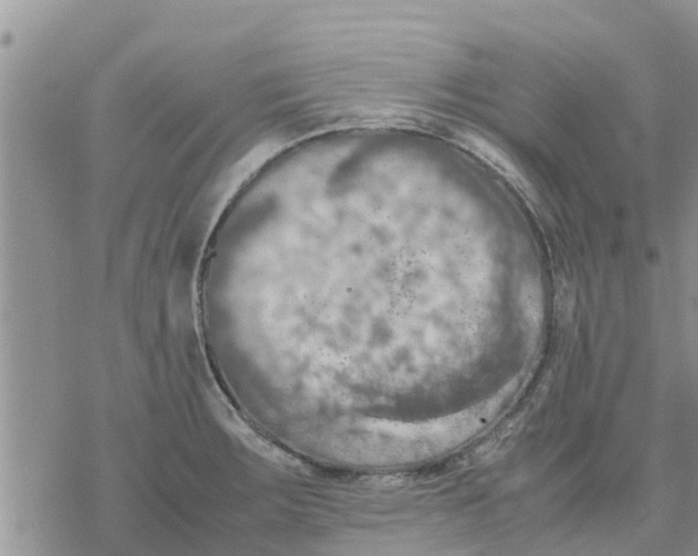 X0000078241283200611251230