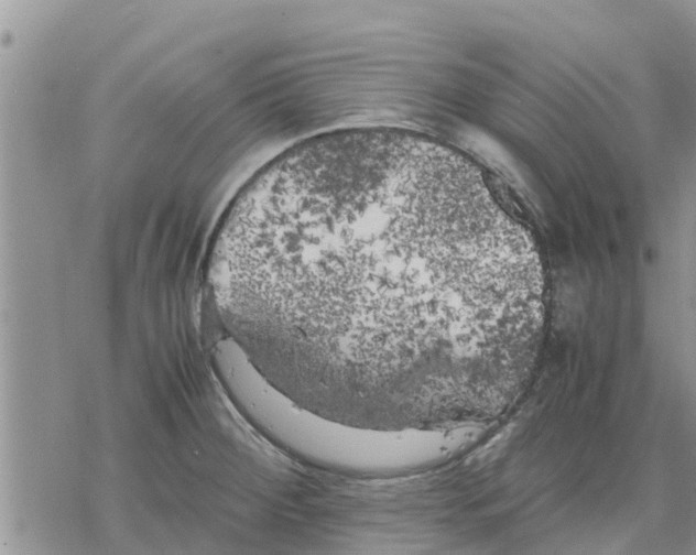 X0000078241284200611251230