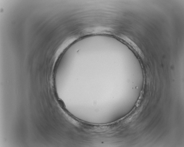 X0000078241285200611251230