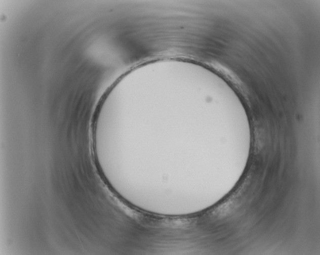 X0000078241286200611251229