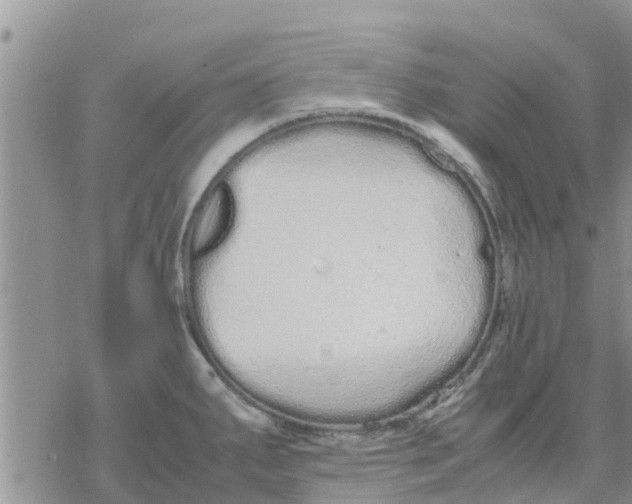 X0000078241287200611251229