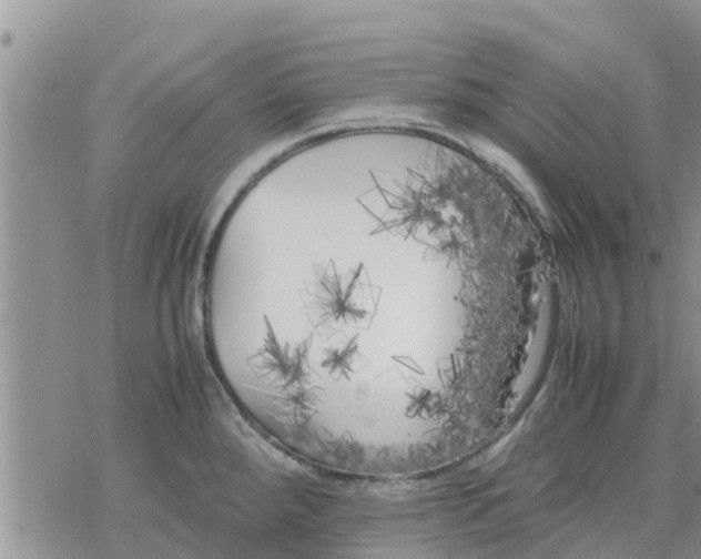 X0000078241288200611251229