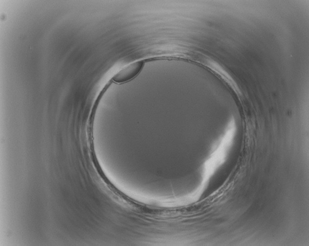 X0000078241291200611251229