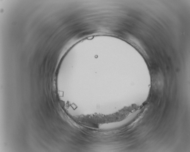 X0000078241292200611251229