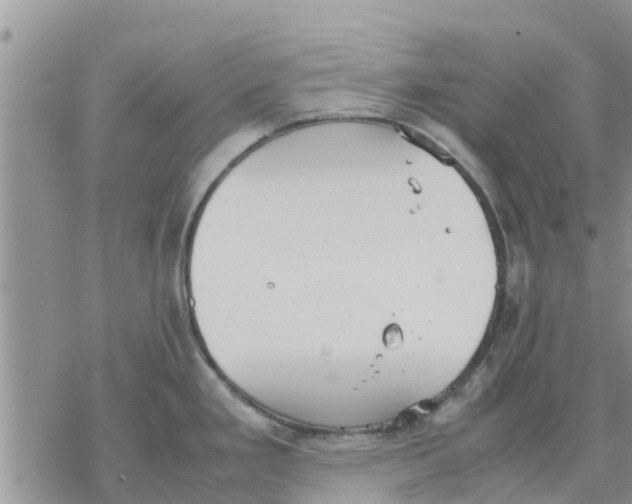 X0000078241293200611251229