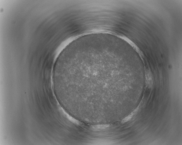 X0000078241294200611251229