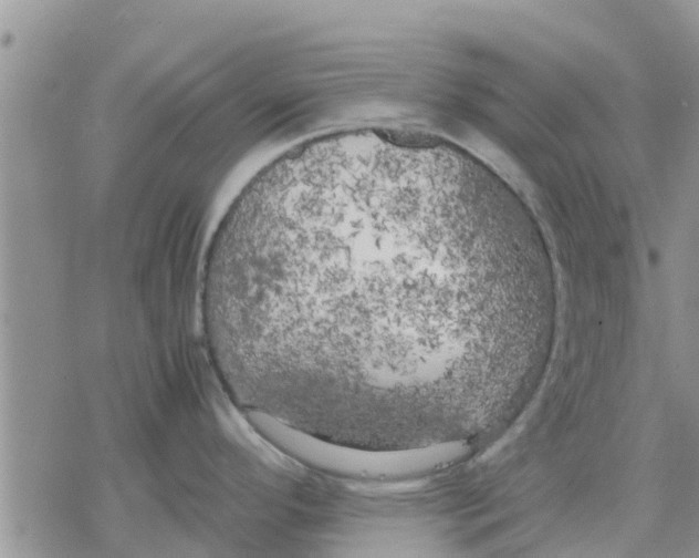 X0000078241296200611251229