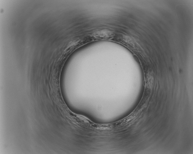 X0000078241297200611251229