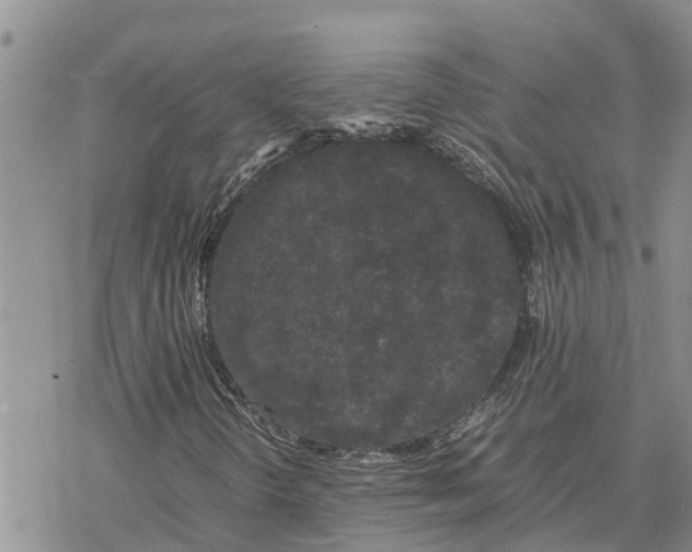 X0000078241298200611251229