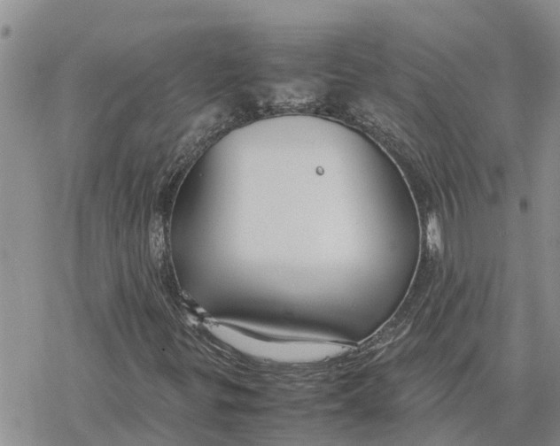 X0000078241299200611251229