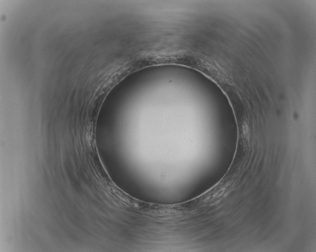 X0000078241300200611251229