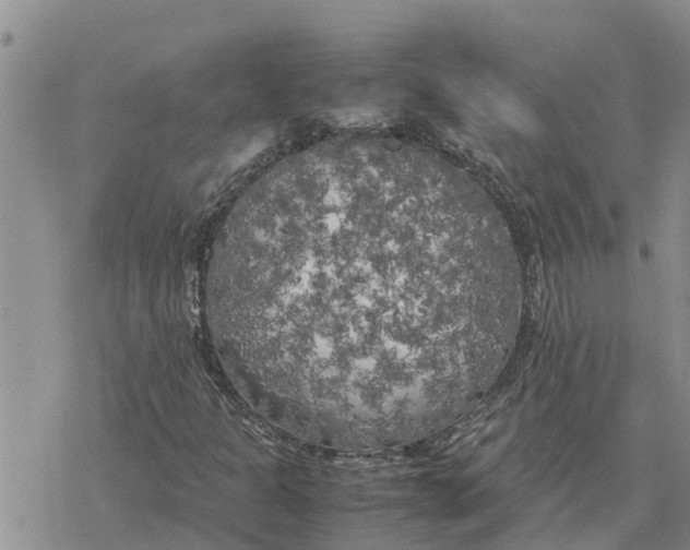 X0000078241301200611251229