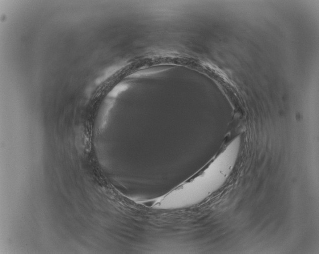 X0000078241303200611251229