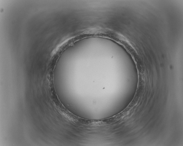 X0000078241304200611251229