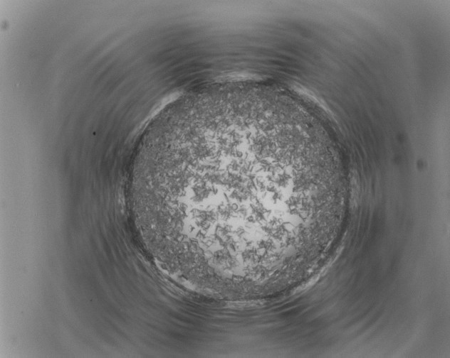 X0000078241305200611251229