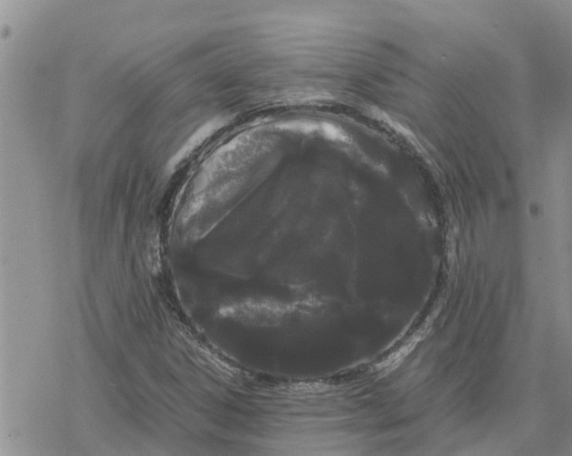 X0000078241306200611251229