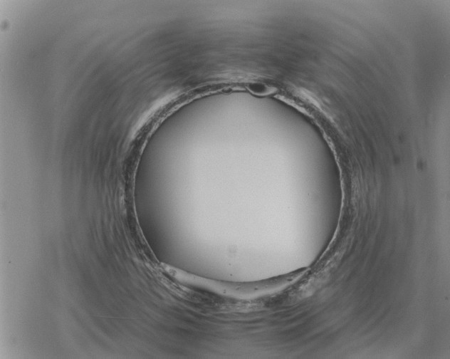 X0000078241307200611251229