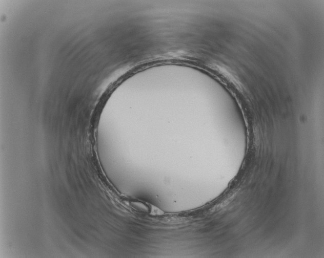 X0000078241308200611251229