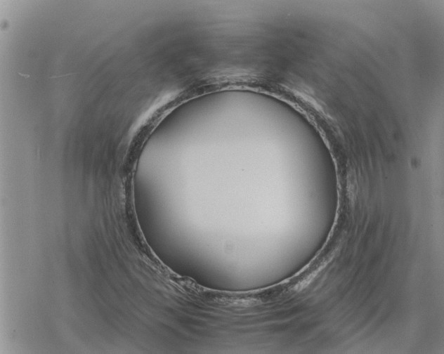 X0000078241309200611251229