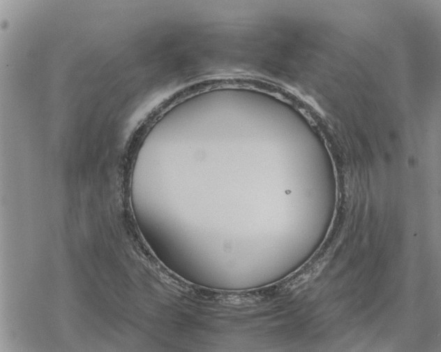 X0000078241311200611251229