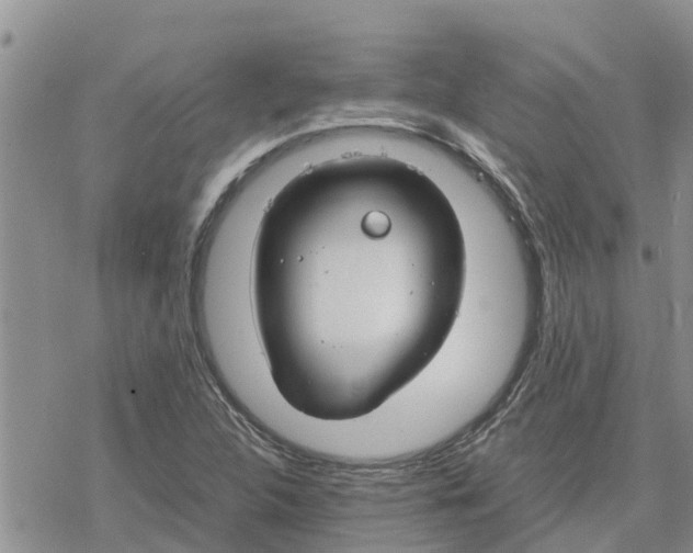 X0000078241312200611251229