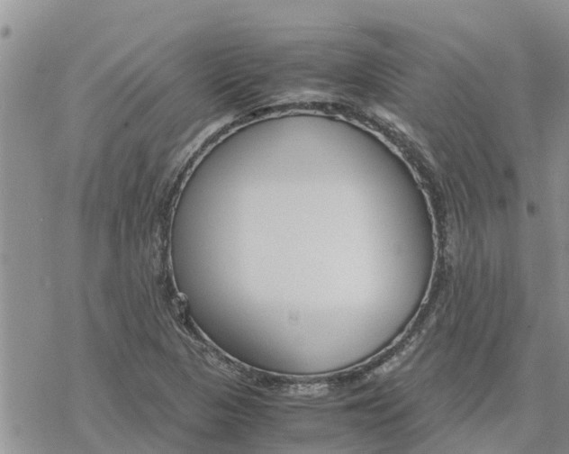 X0000078241313200611251229