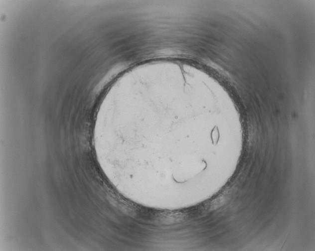 X0000078241314200611251229