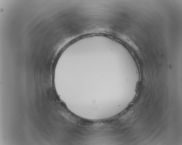 X0000078241316200611251229