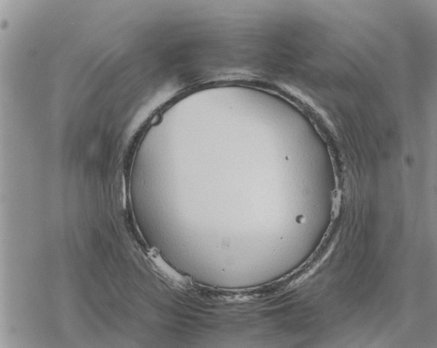 X0000078241317200611251229