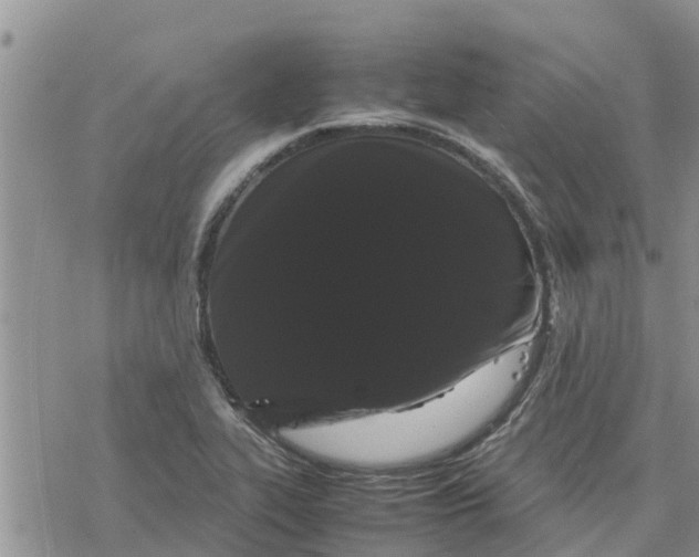 X0000078241319200611251229