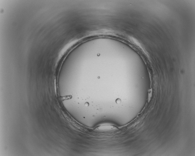 X0000078241320200611251229