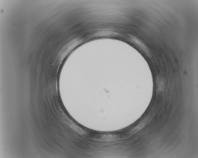 X0000078241322200611251229