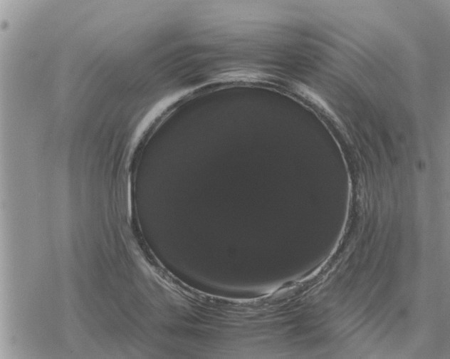 X0000078241323200611251229