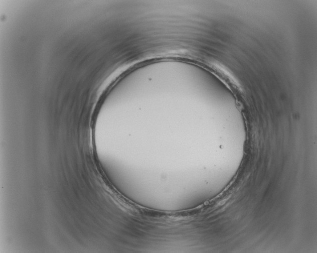 X0000078241324200611251229