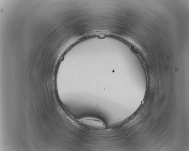 X0000078241325200611251229