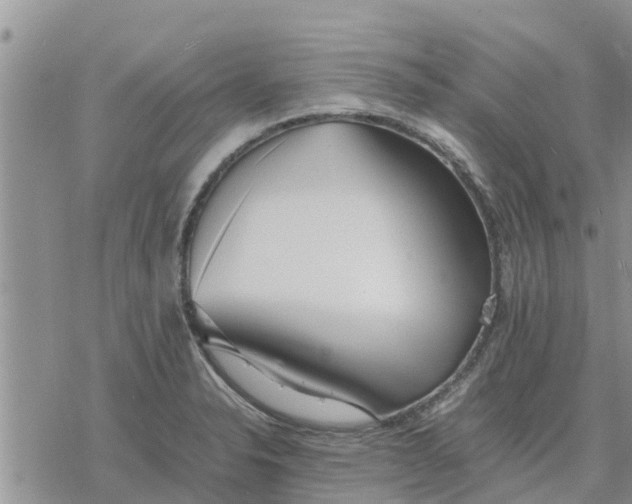 X0000078241326200611251229