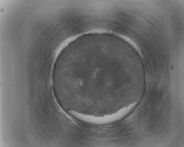 X0000078241327200611251229