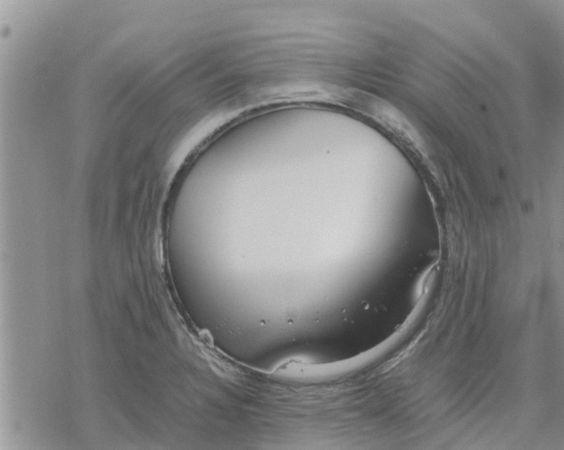 X0000078241328200611251229