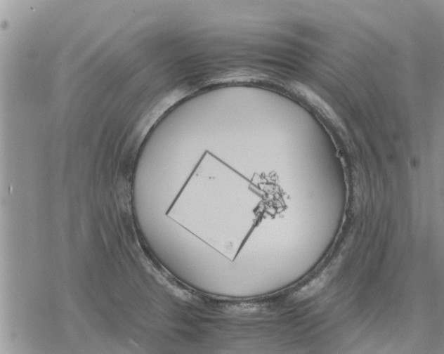 X0000078241329200611251229