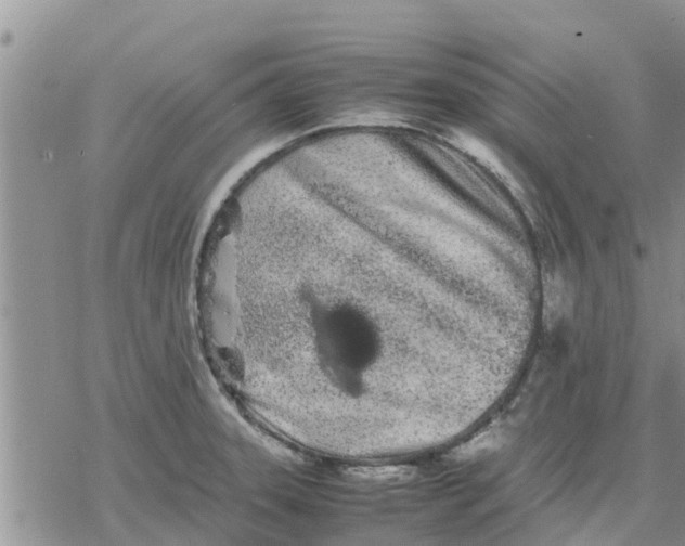 X0000078241331200611251229