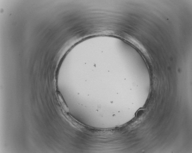 X0000078241332200611251229