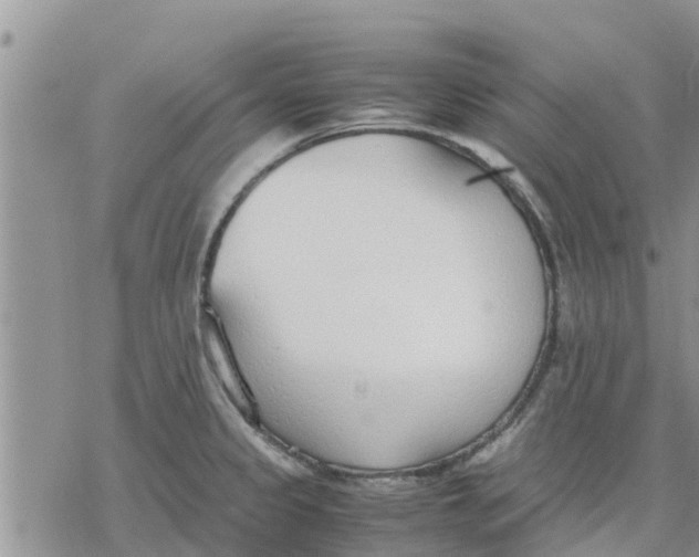 X0000078241333200611251229