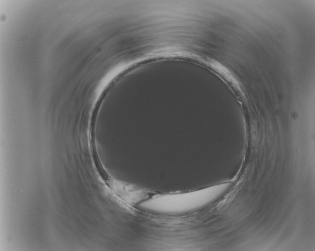 X0000078241334200611251229