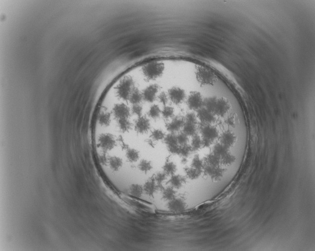 X0000078241335200611251229