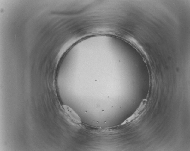 X0000078241336200611251229